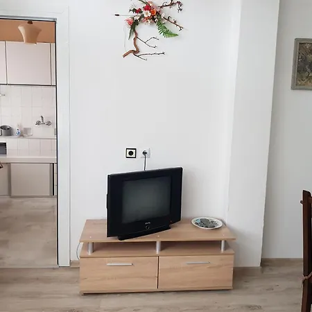 公寓 Megi 索佐波尔